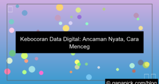 visual kebocoran data digital