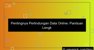 perlindungan data online