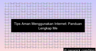 tips aman menggunakan internet